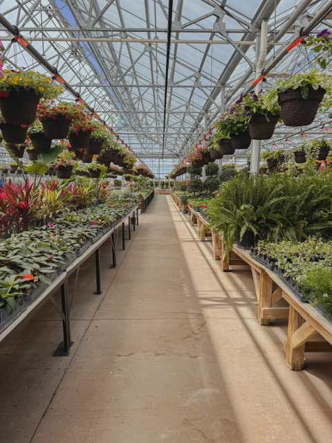 free things to do in the spring walking nursery aisles