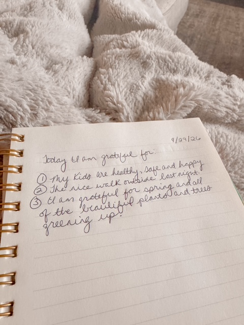 free things to do in the spring journaling